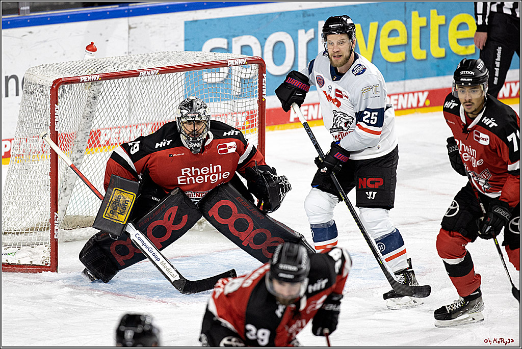 PENNY DEL;  Koelner Haie - Nuernberg Ice Tigers; Koeln, 03.12.2021